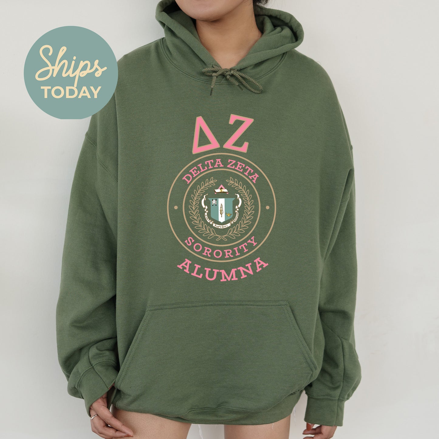 Delta Zeta Alumna Vintage Sorority Hoodie _ 31022g