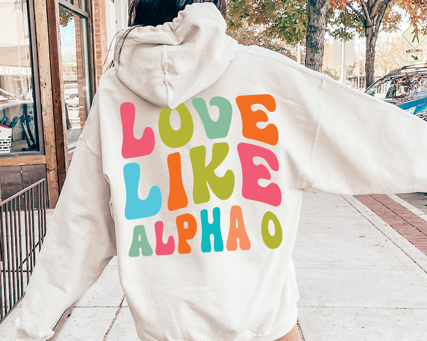 Alpha Omicron Pi Blissful and Vibrant Sorority Hoodie _ 33158g