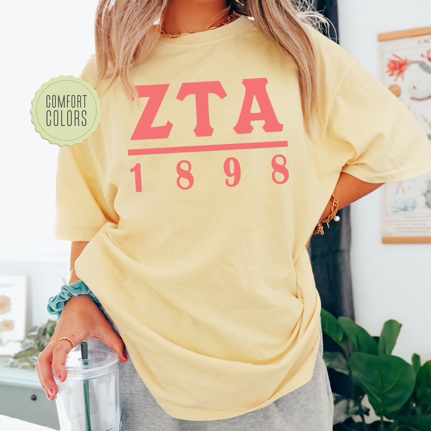 Zeta Tau Alpha Monochromatic Comfort Colors Sorority T-shirt _ 30868g
