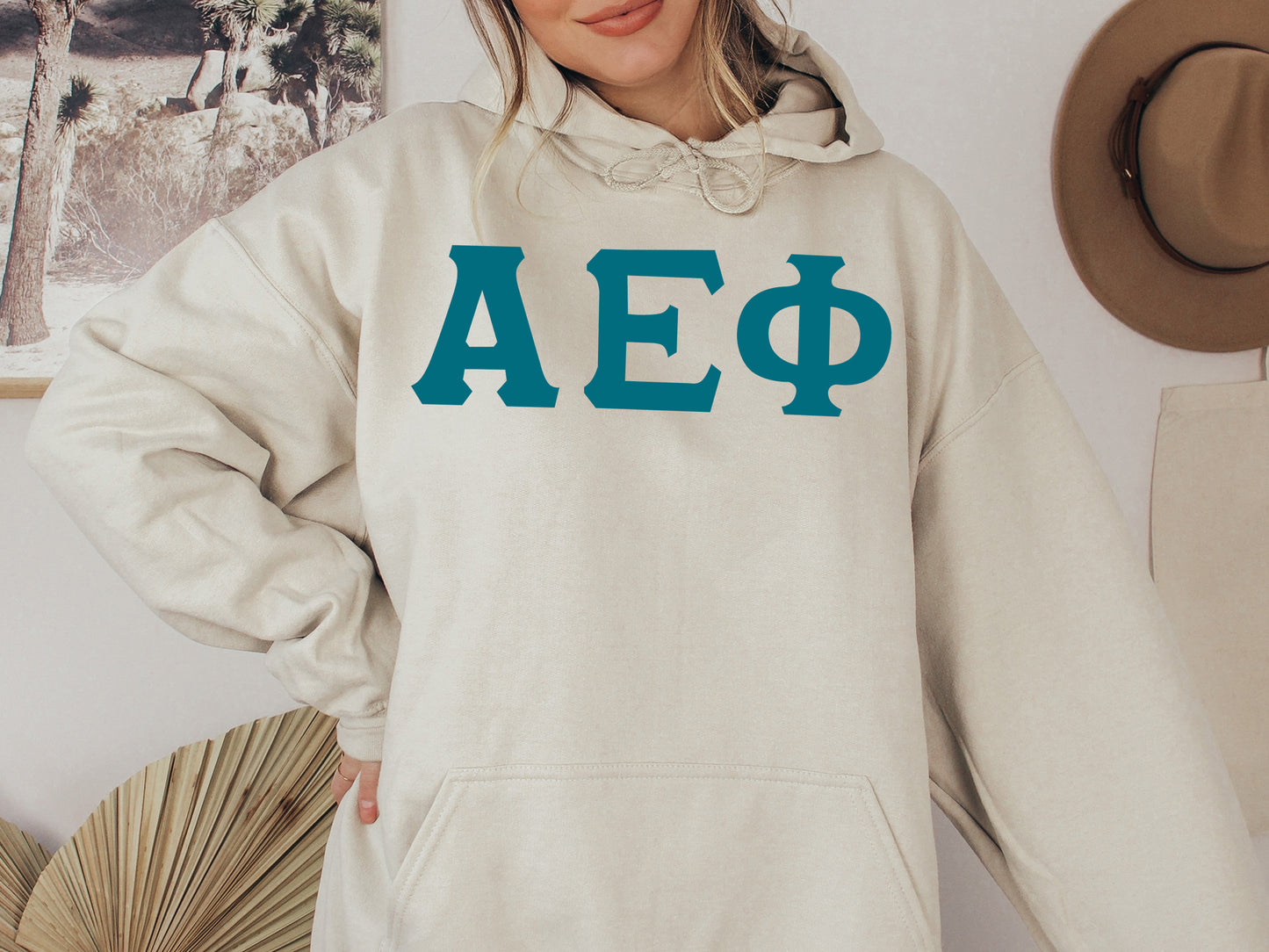 Alpha Epsilon Phi Back to the Basics Sorority Hoodie _ 624g