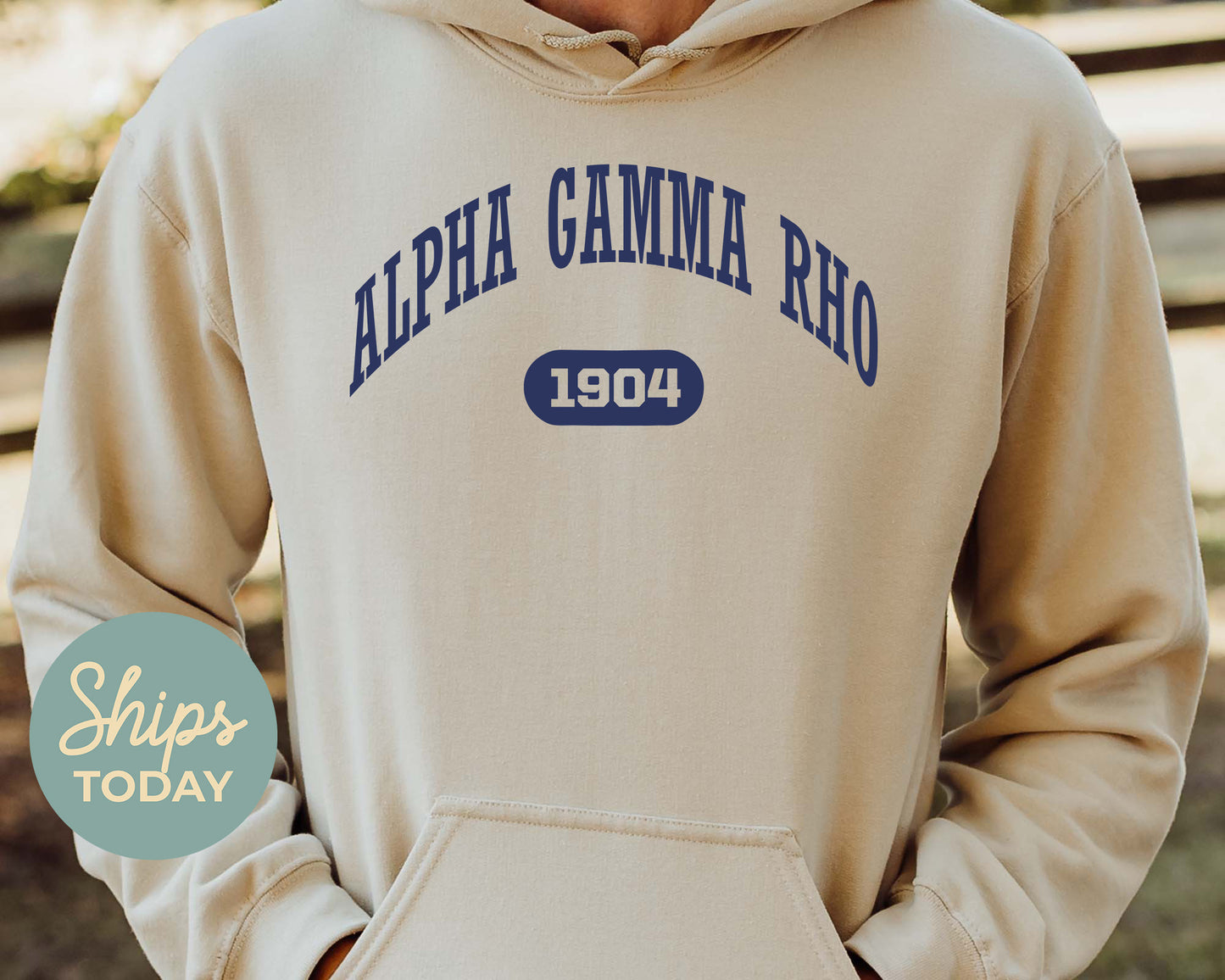 Alpha Gamma Rho Fraternal Arch Fraternity Hoodie _ 909g