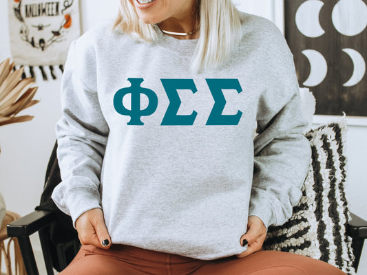 Phi Sigma Sigma Back to the Basics Sorority Sweatshirt _ 341g