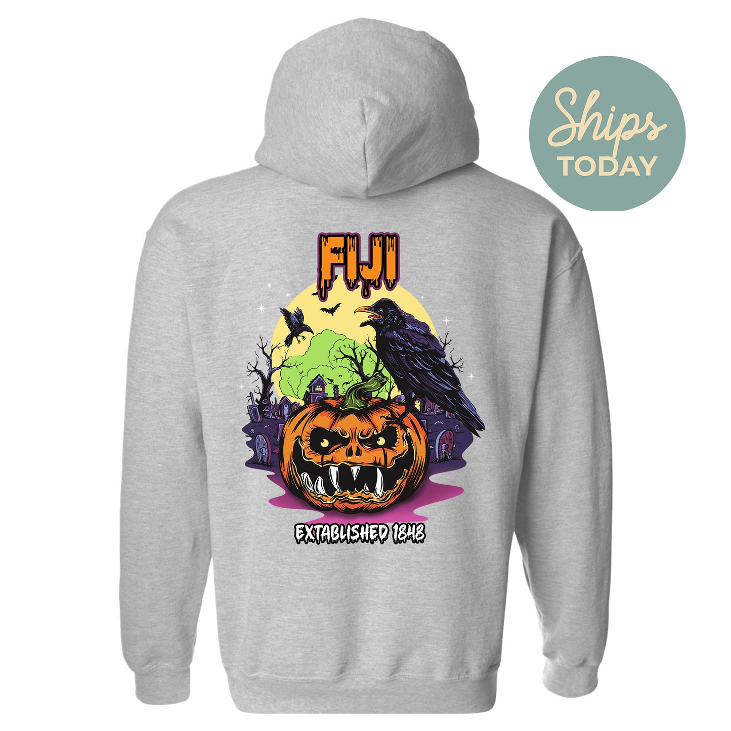 FIJI Halloween Bats Fraternity Hoodie _ 36266g