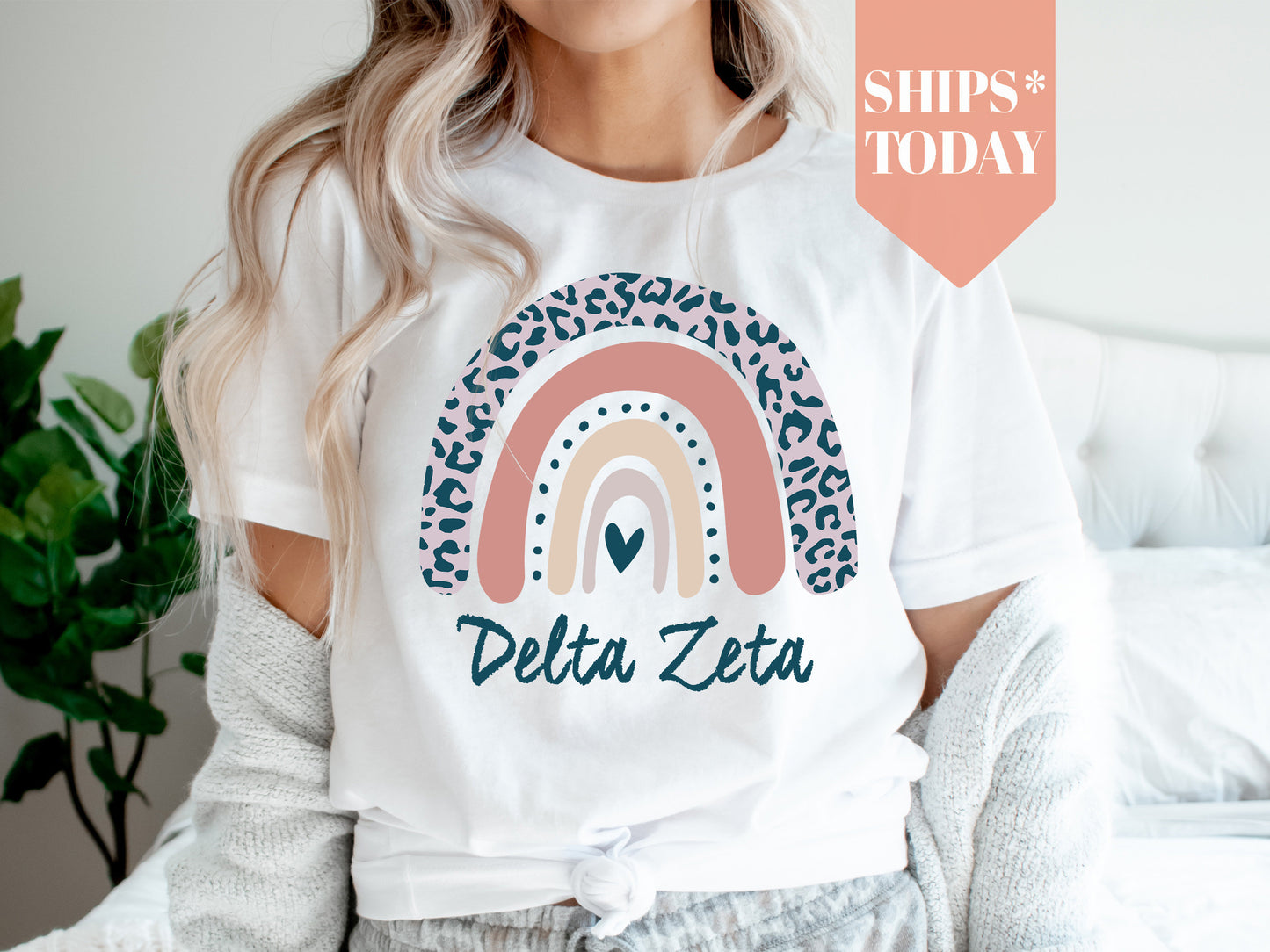 Delta Zeta Greek Rainbow Sorority T-shirt _ 2746g