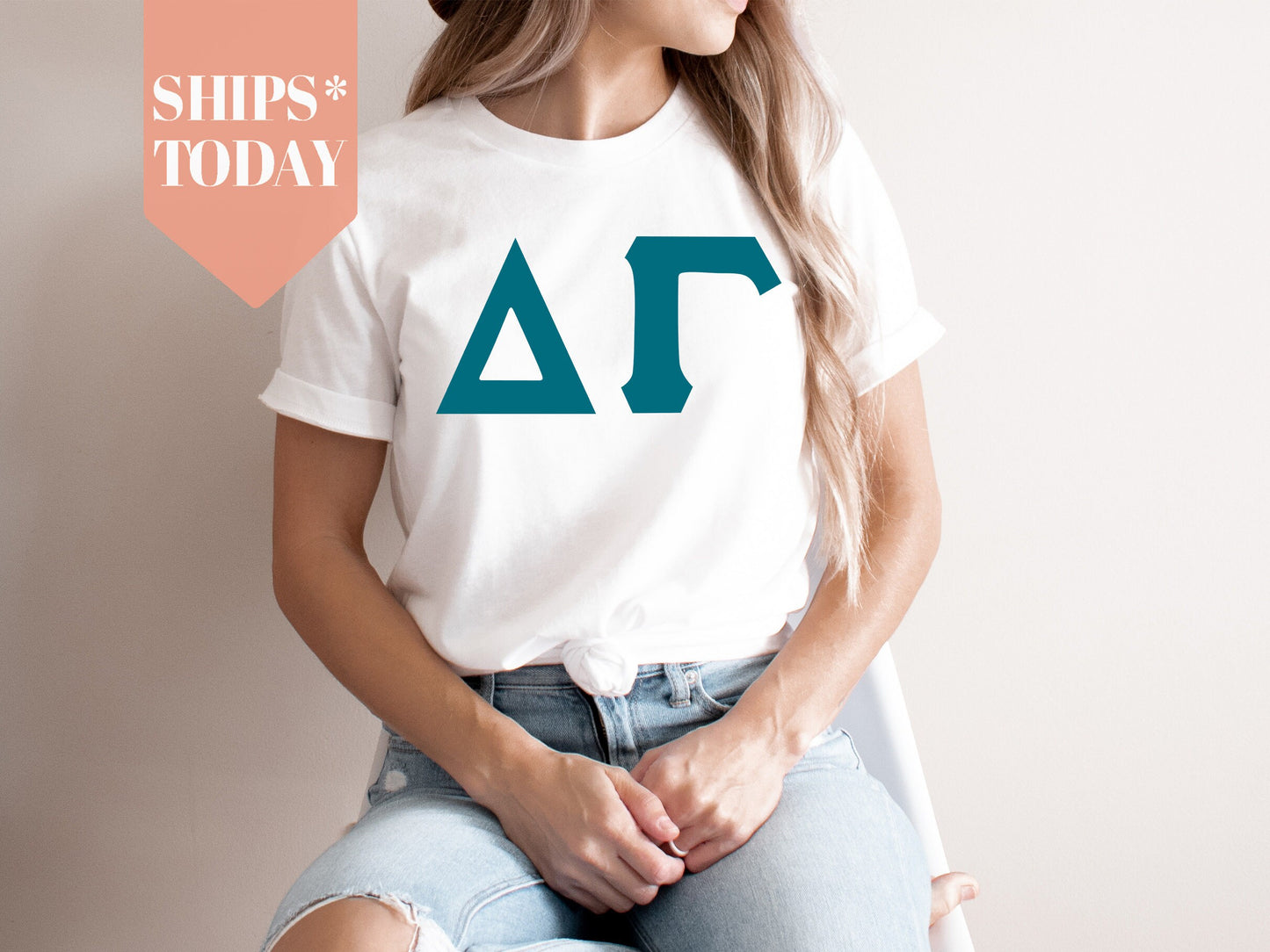 Delta Gamma Back to the Basics Sorority T-shirt _ 633g