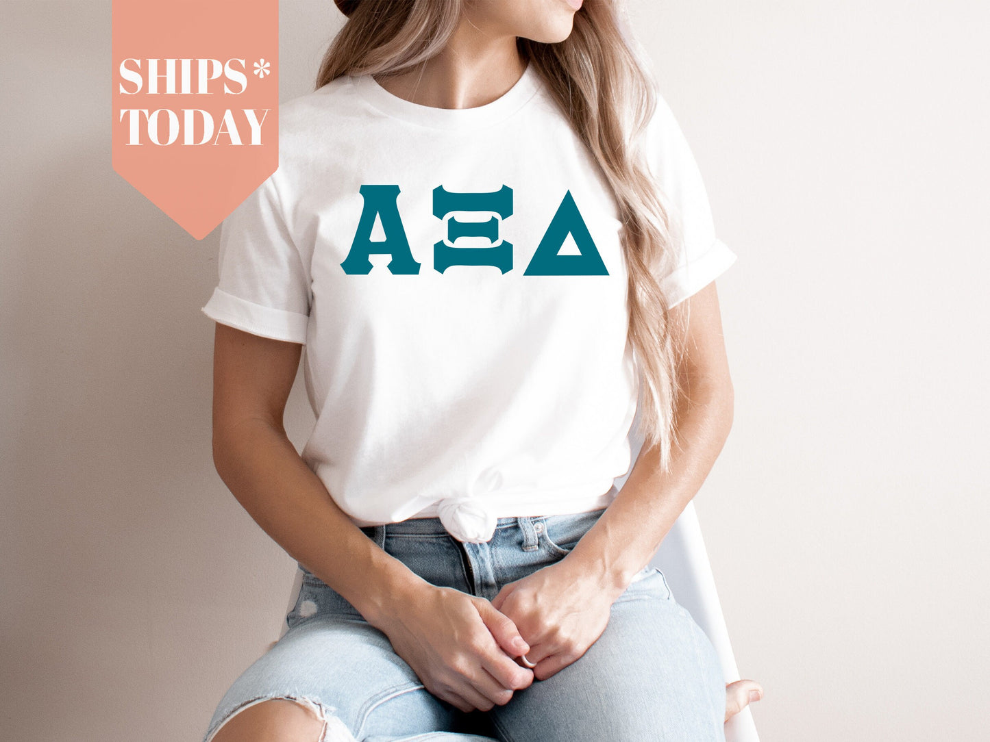 Alpha Xi Delta Back to the Basics Sorority T-shirt _ 630g