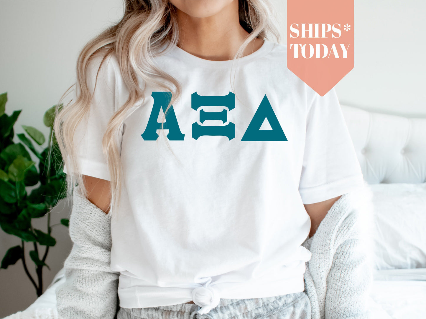 Alpha Xi Delta Back to the Basics Sorority T-shirt _ 630g
