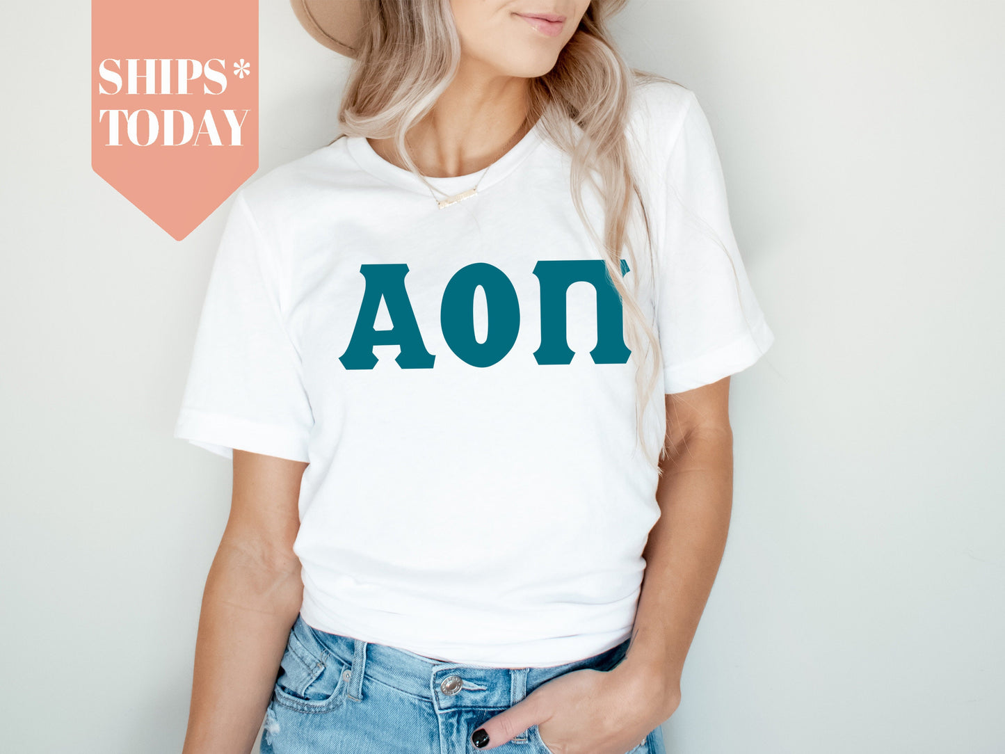 Alpha Omicron Pi Back to the Basics Sorority T-shirt _ 626g