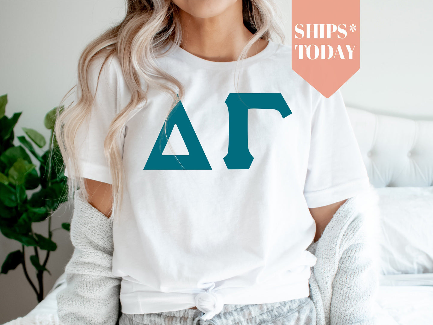 Delta Gamma Back to the Basics Sorority T-shirt _ 633g