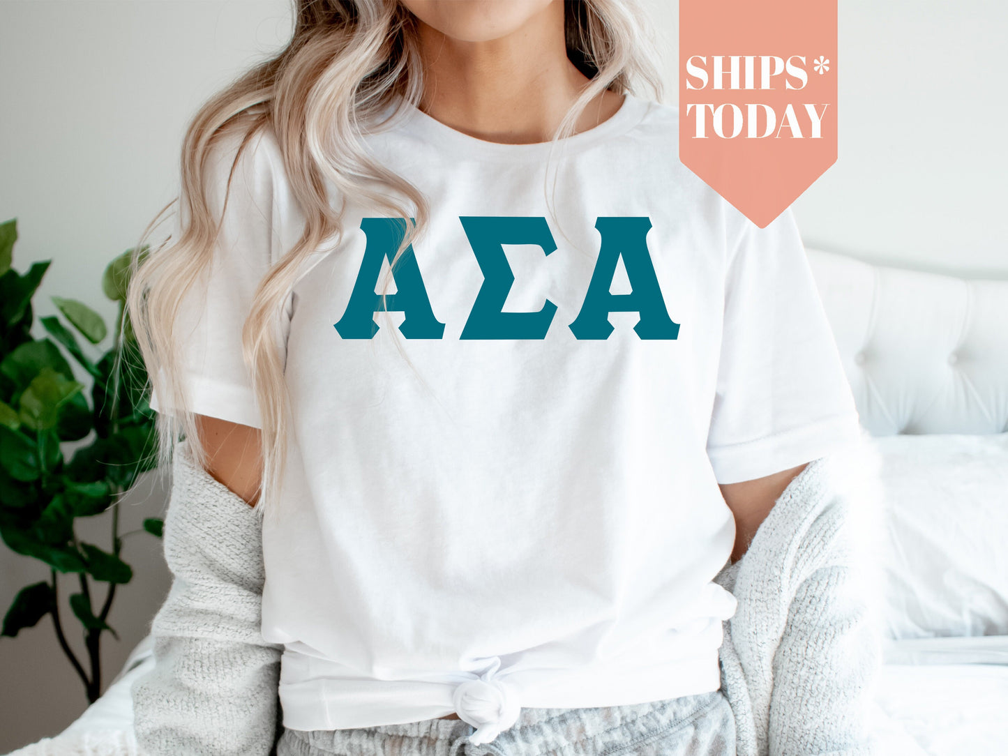 Alpha Sigma Alpha Back to the Basics Sorority T-shirt _ 628g
