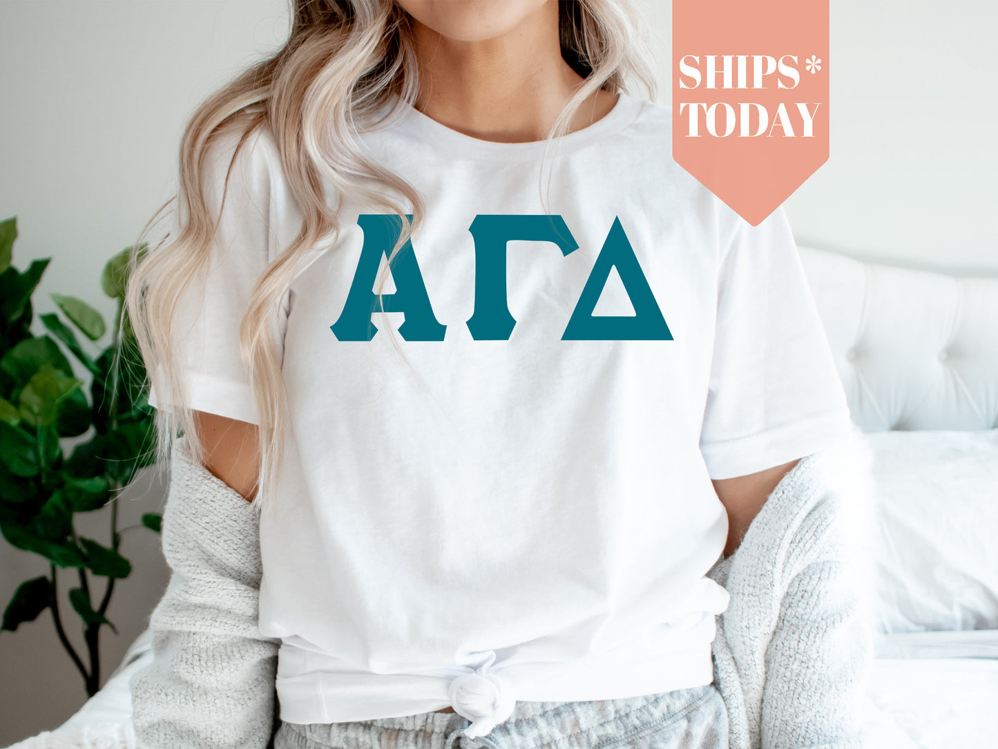 Alpha Gamma Delta Back to the Basics Sorority T-shirt _ 625g