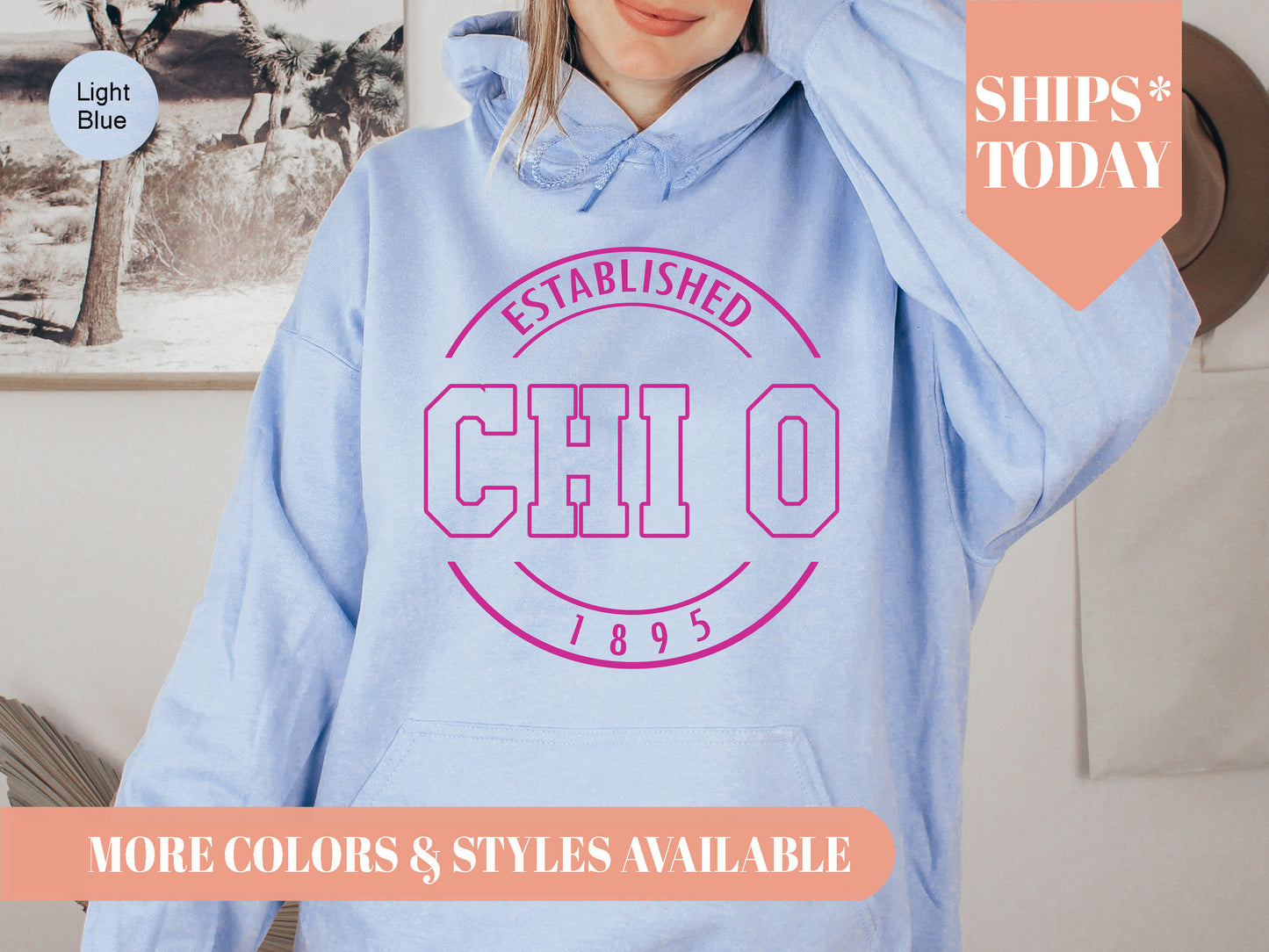 Chi Omega Pink Stamp Sorority Hoodie _ 60g