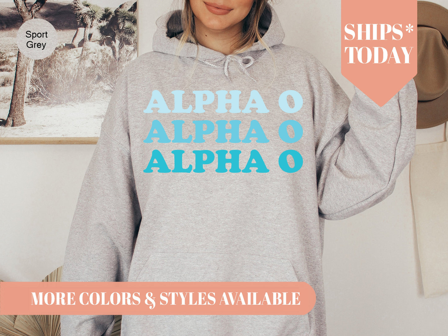 Alpha Omicron Pi Touch of Blue Sorority Hoodie _ 2581g