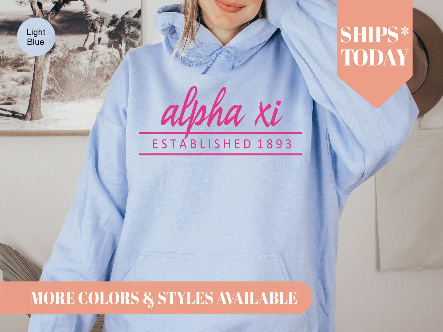 Alpha Xi Delta All Pink Sorority Hoodie _ 760g
