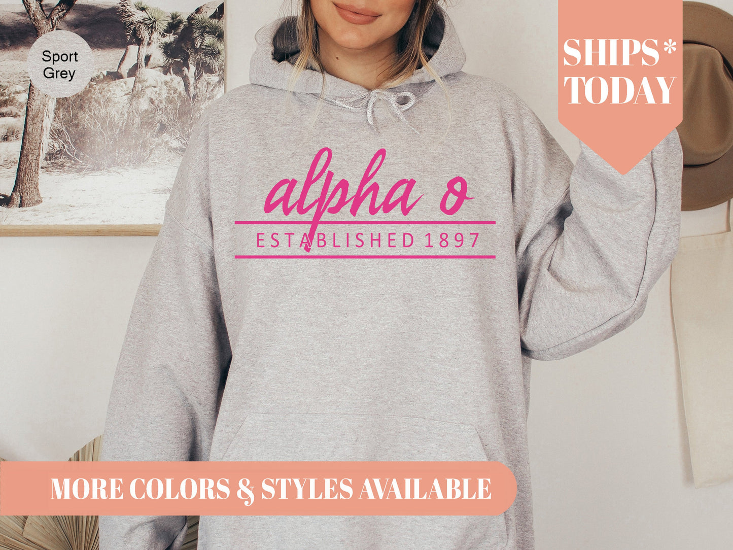 Alpha Omicron Pi All Pink Sorority Hoodie _ 756g