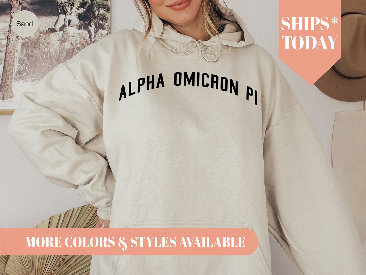 Alpha Omicron Pi Just Bold Sorority Hoodie _ 2373g