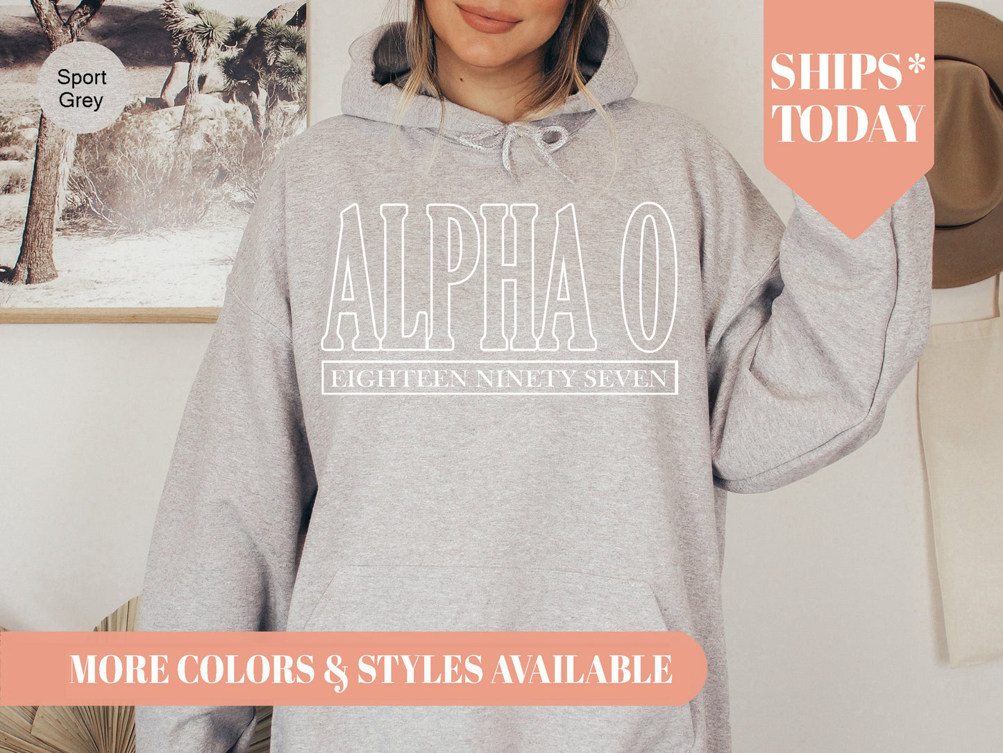Alpha Omicron Pi Stencil Stacked Sorority Hoodie _ 2138g