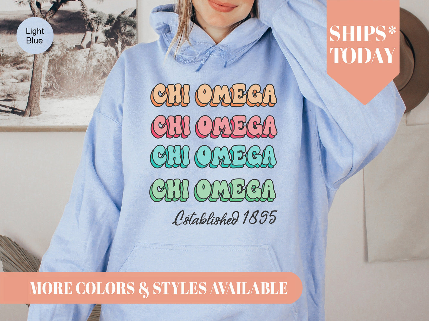 Chi Omega Lucy Sorority Hoodie _ 267g
