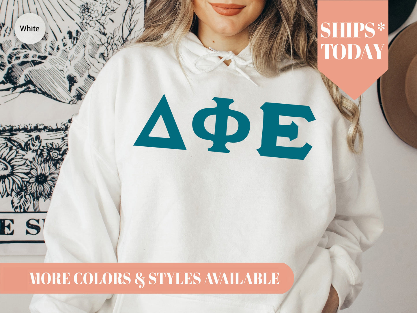 Delta Phi Epsilon Back to the Basics Sorority Hoodie _ 634g