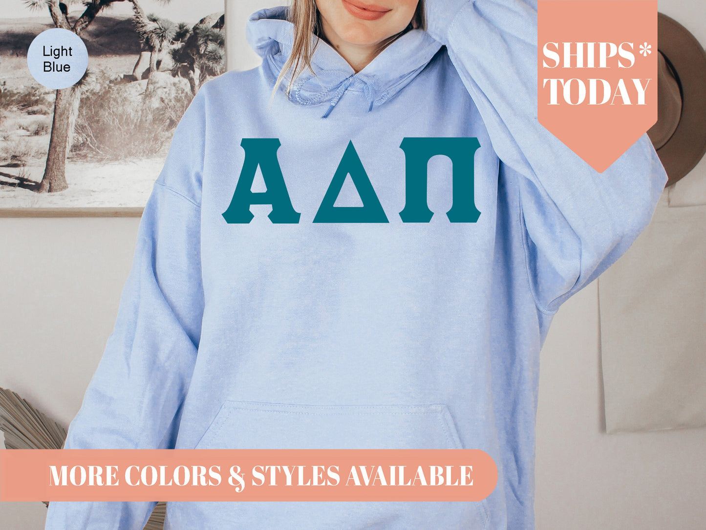 Alpha Delta Pi Back to the Basics Sorority Hoodie _ 623g