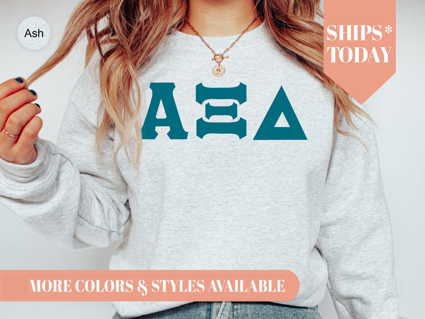 Alpha Xi Delta Back to the Basics Sorority Sweatshirt _ 630g