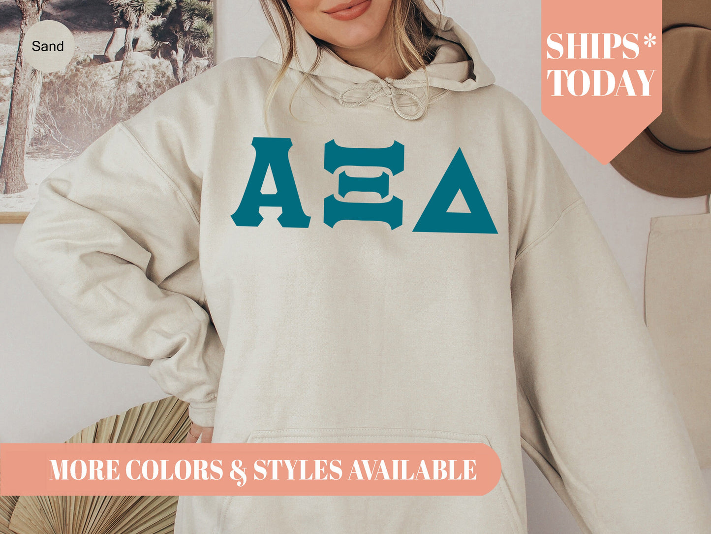 Alpha Xi Delta Back to the Basics Sorority Hoodie _ 630g