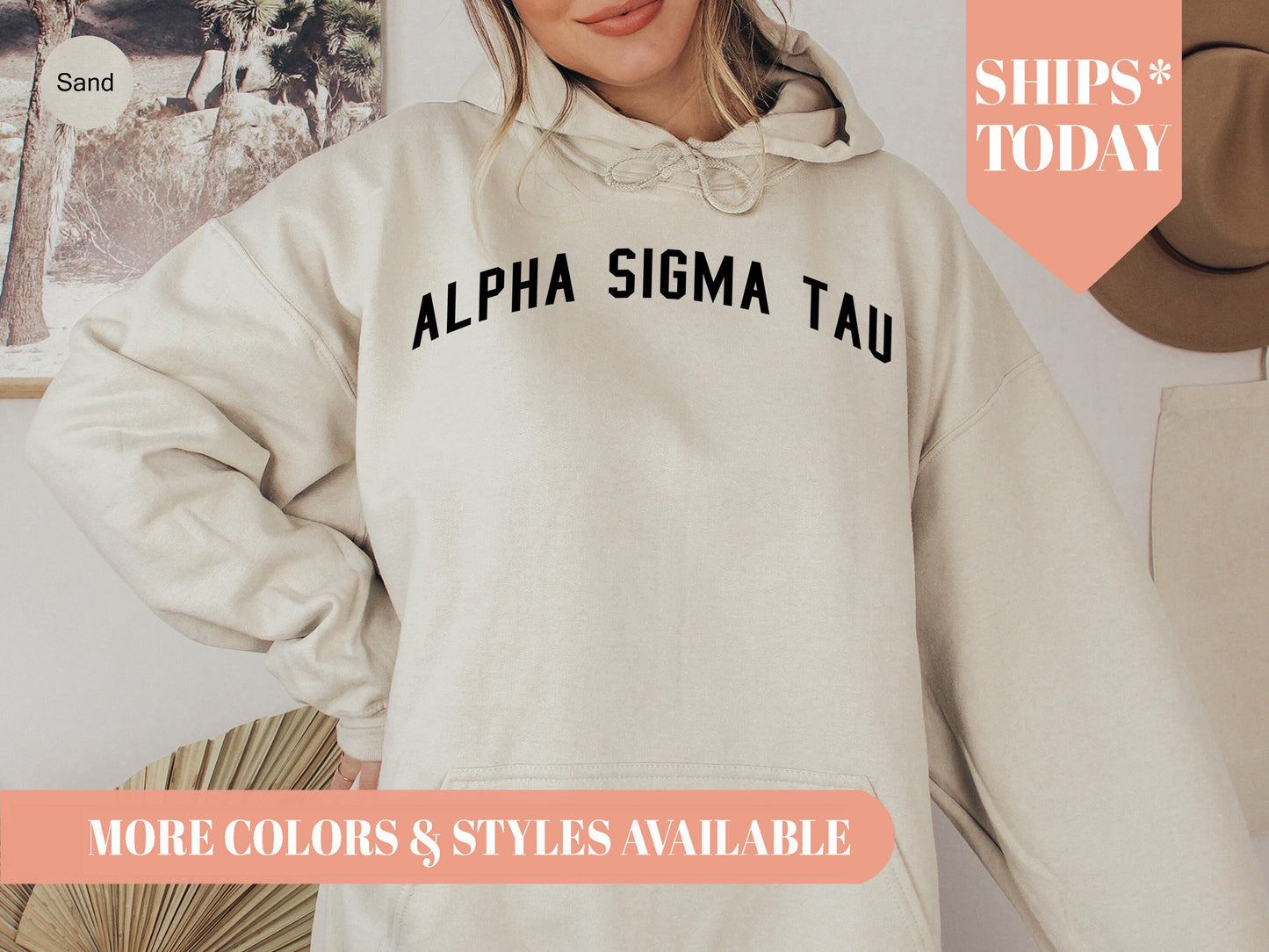 Alpha Sigma Tau Just Bold Sorority Hoodie _ 2376g