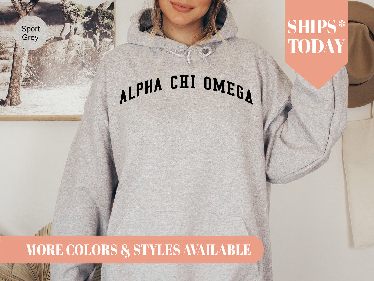 Alpha Chi Omega Just Bold Sorority Hoodie _ 2369g