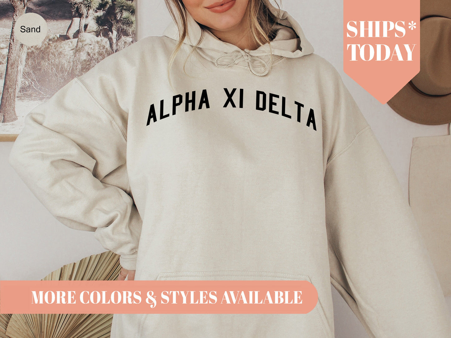 Alpha Xi Delta Just Bold Sorority Hoodie _ 2377g