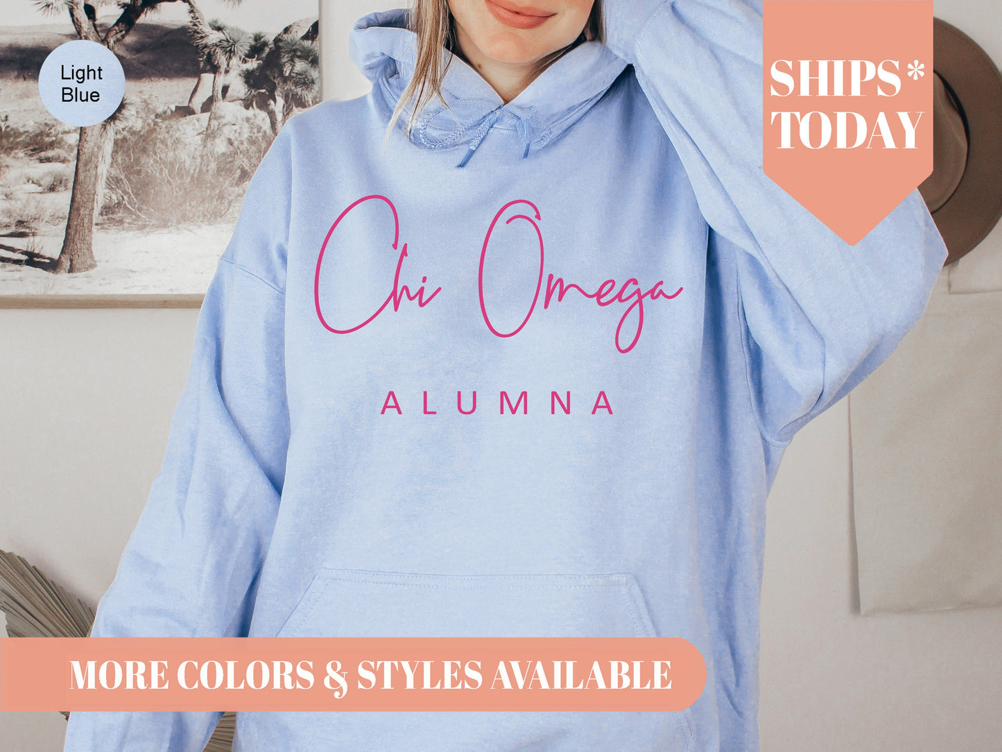 Chi Omega Simple and Sweet Alumna Sorority Hoodie _ 501g