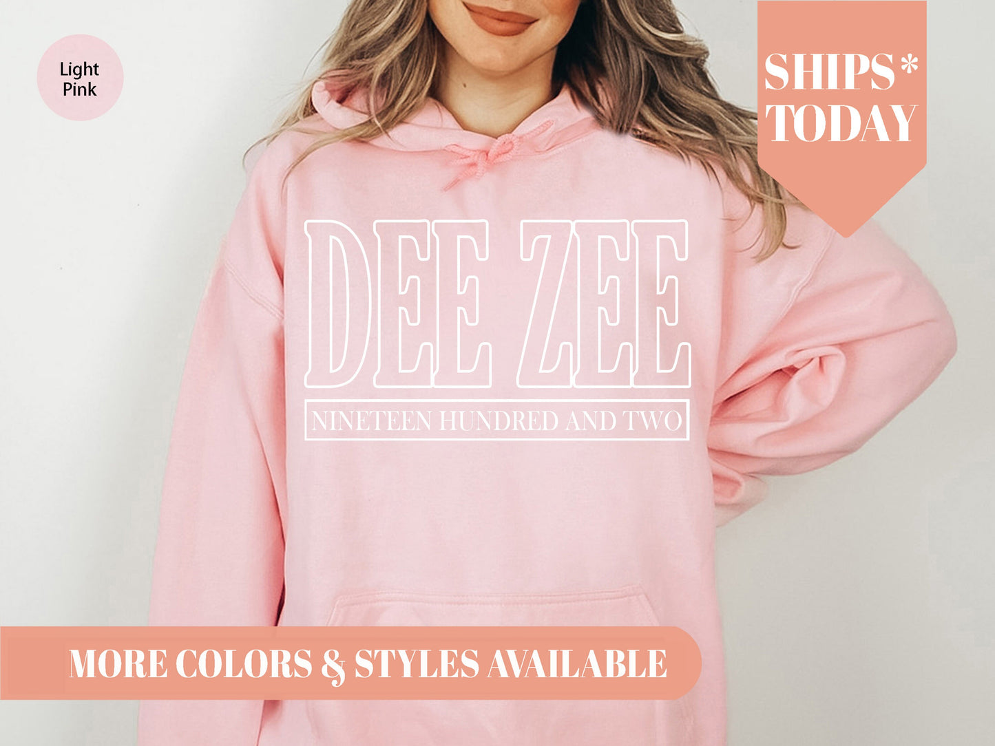 Delta Zeta Stencil Stacked Sorority Hoodie _ 2147g
