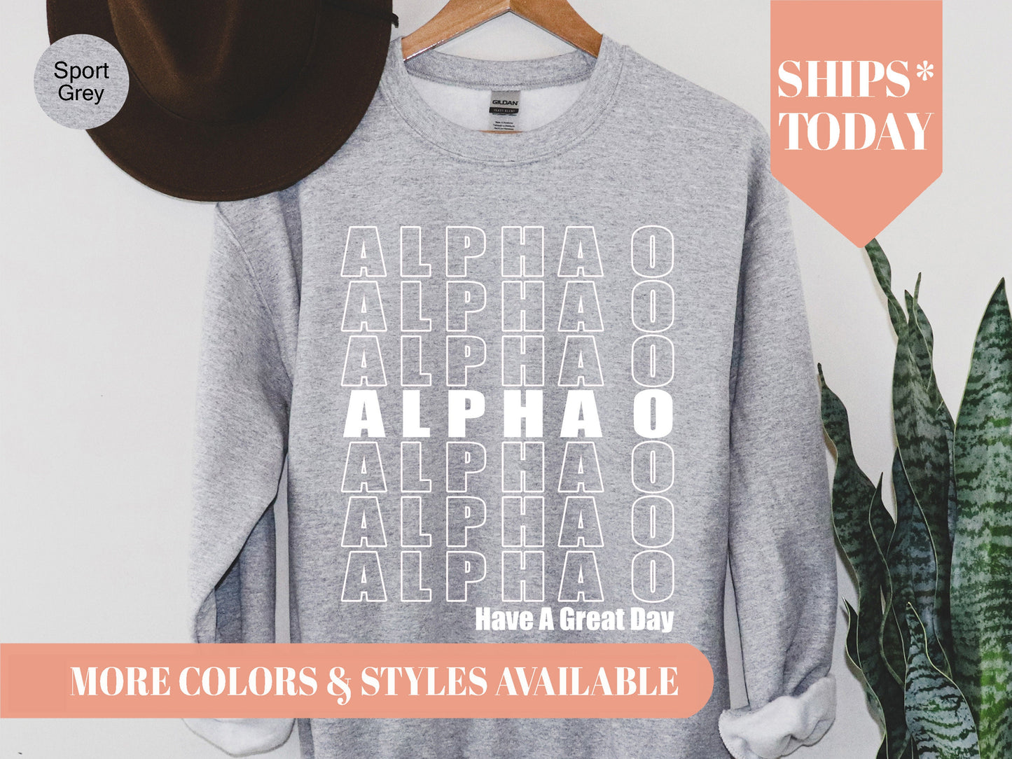 Alpha Omicron Pi Have a Great Day Sorority Sweatshirt _ 2112g