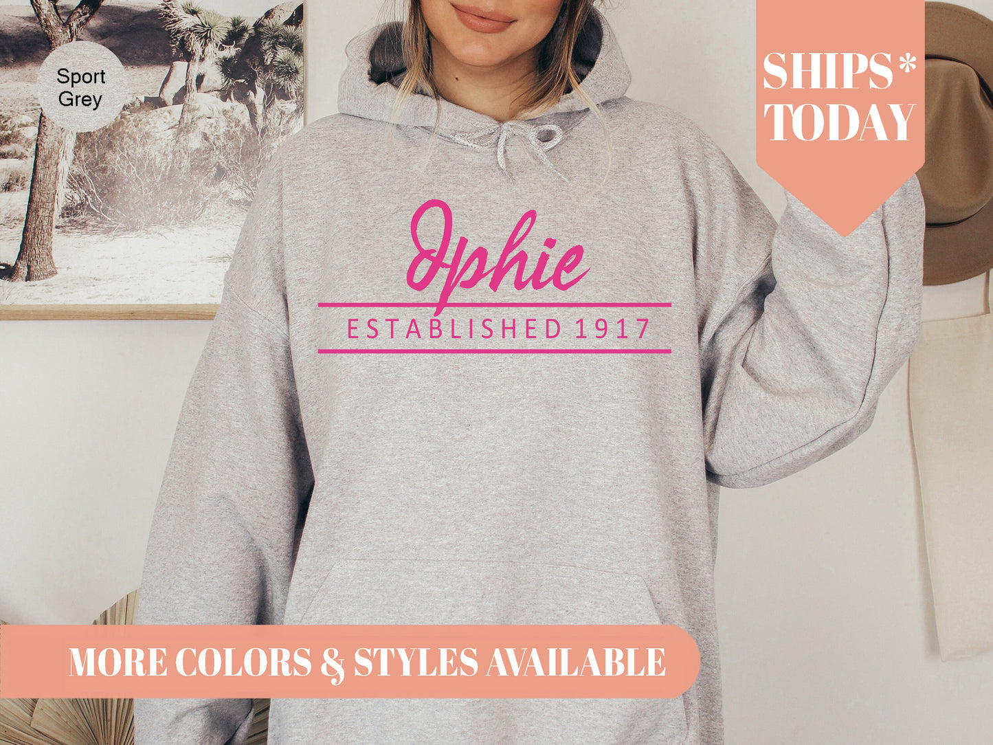 Delta Phi Epsilon All Pink Sorority Hoodie _ 764g