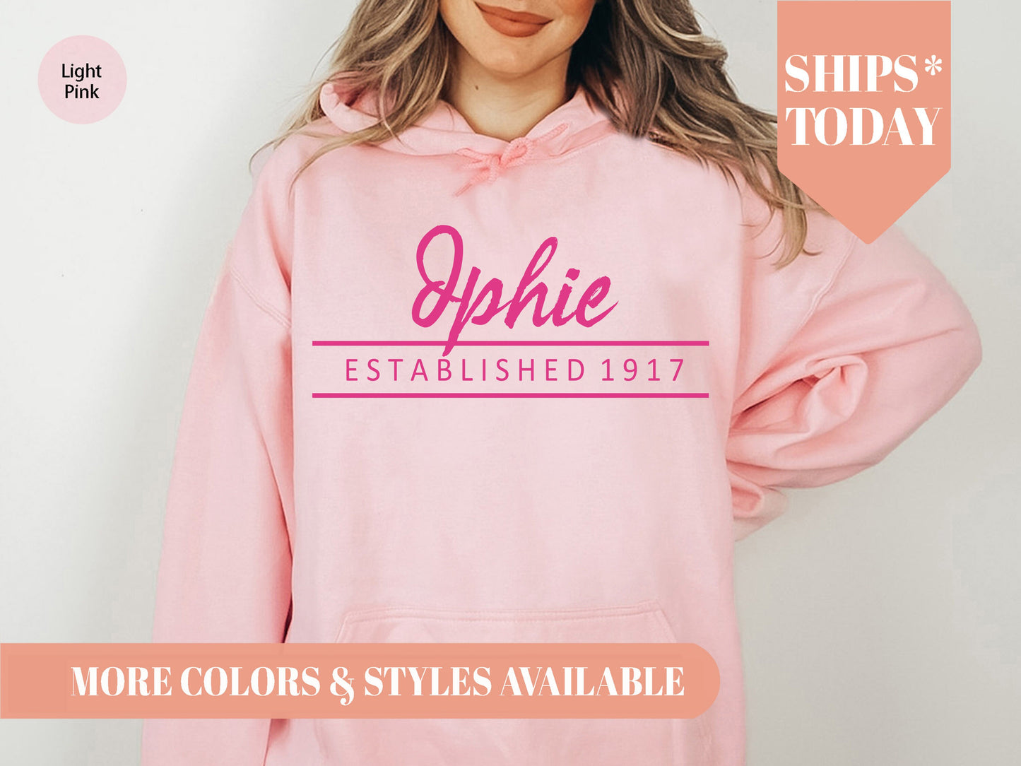 Delta Phi Epsilon All Pink Sorority Hoodie _ 764g