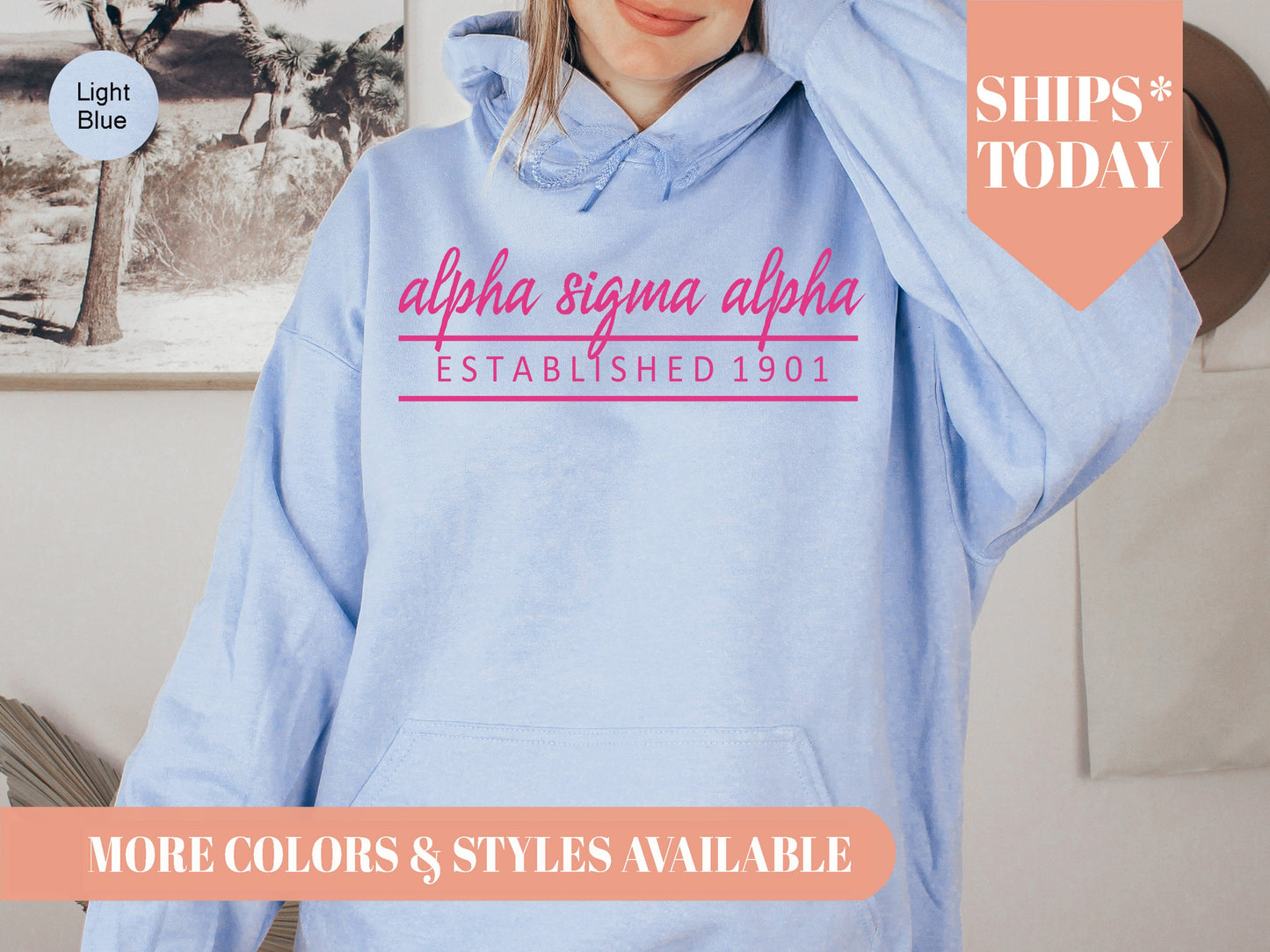 Alpha Sigma Alpha All Pink Sorority Hoodie _ 758g