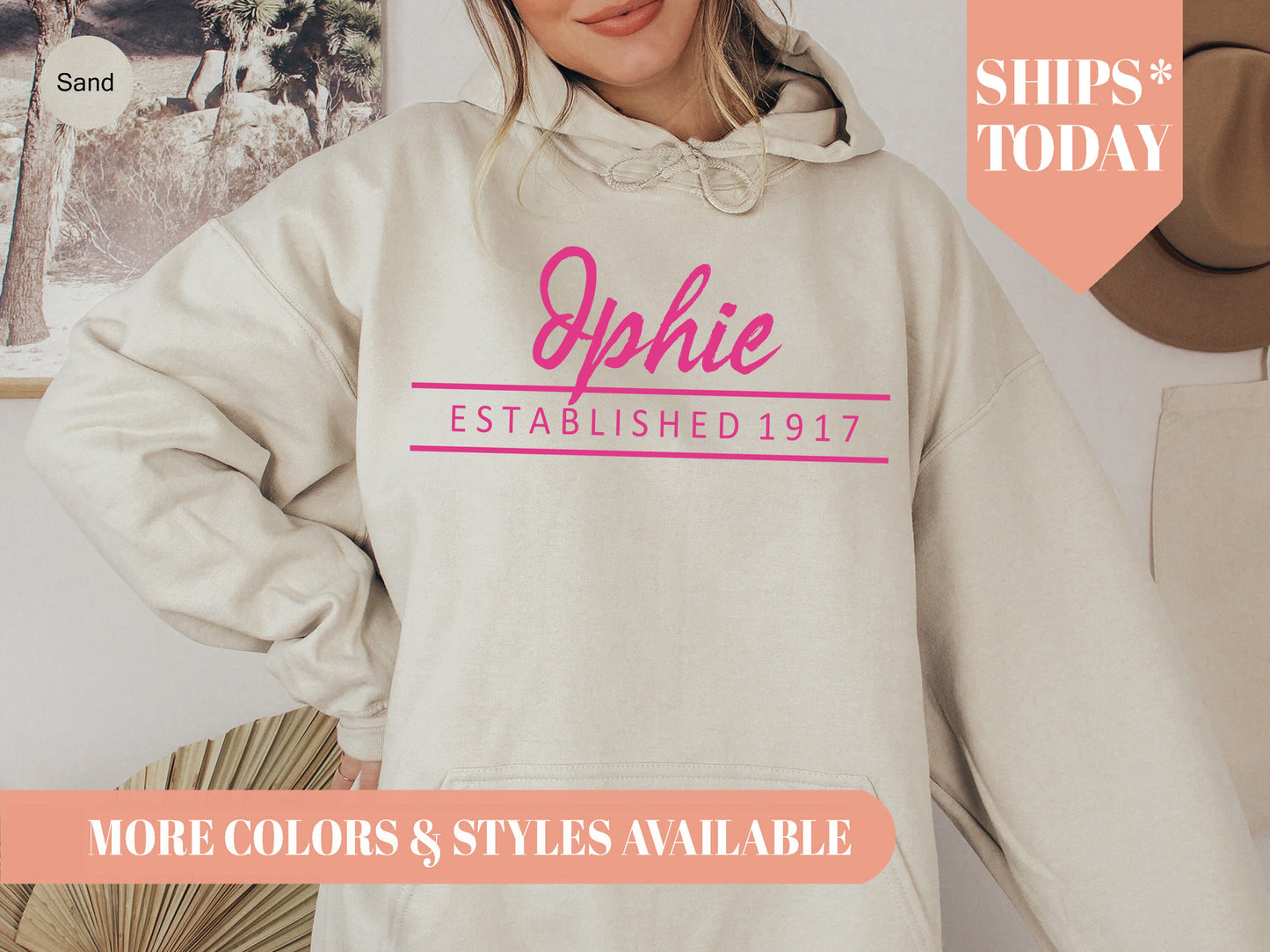 Delta Phi Epsilon All Pink Sorority Hoodie _ 764g