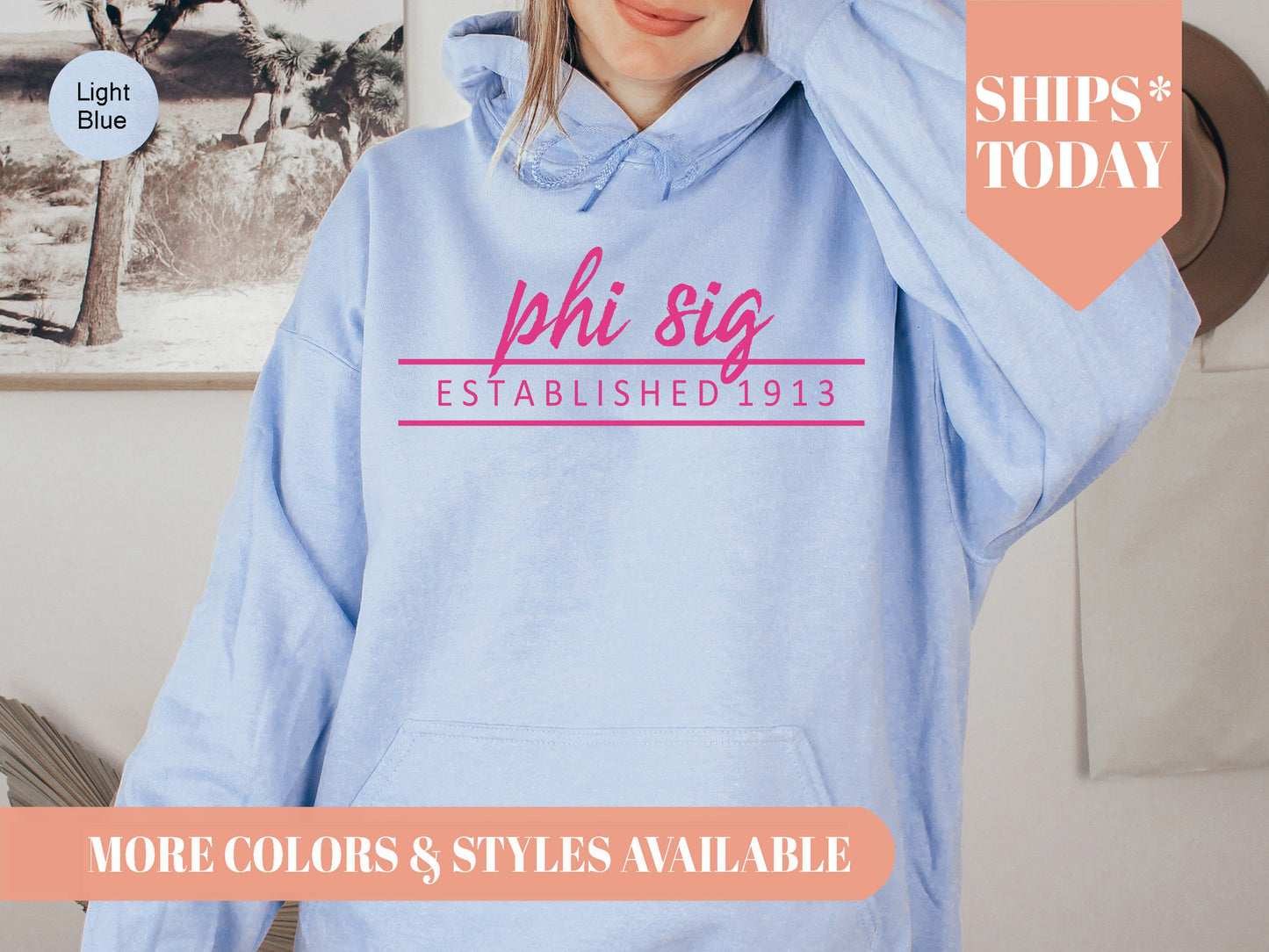 Phi Sigma Sigma All Pink Sorority Hoodie _ 771g