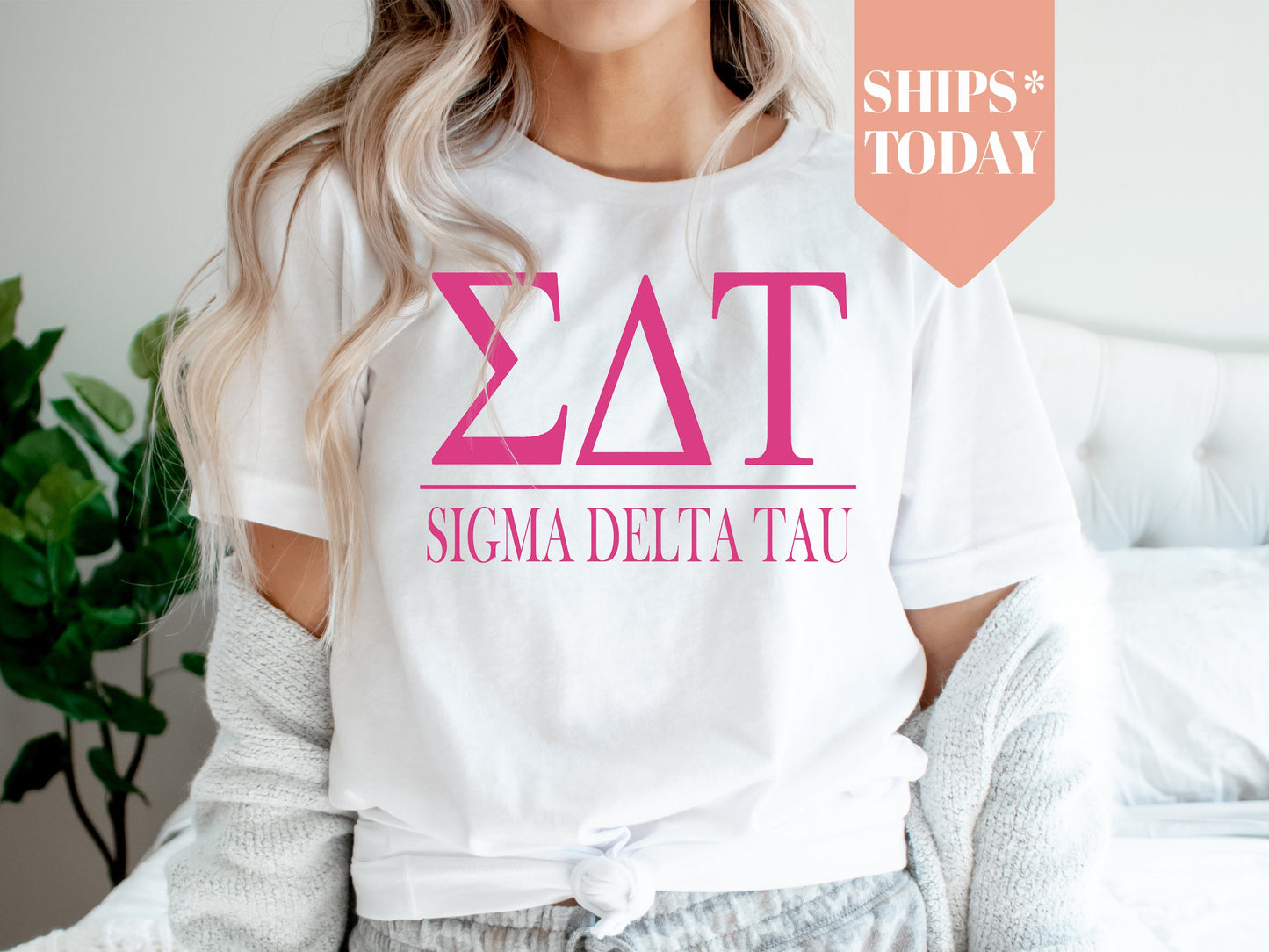 Sigma Delta Tau Loud Letters Sorority T-shirt _ 487g