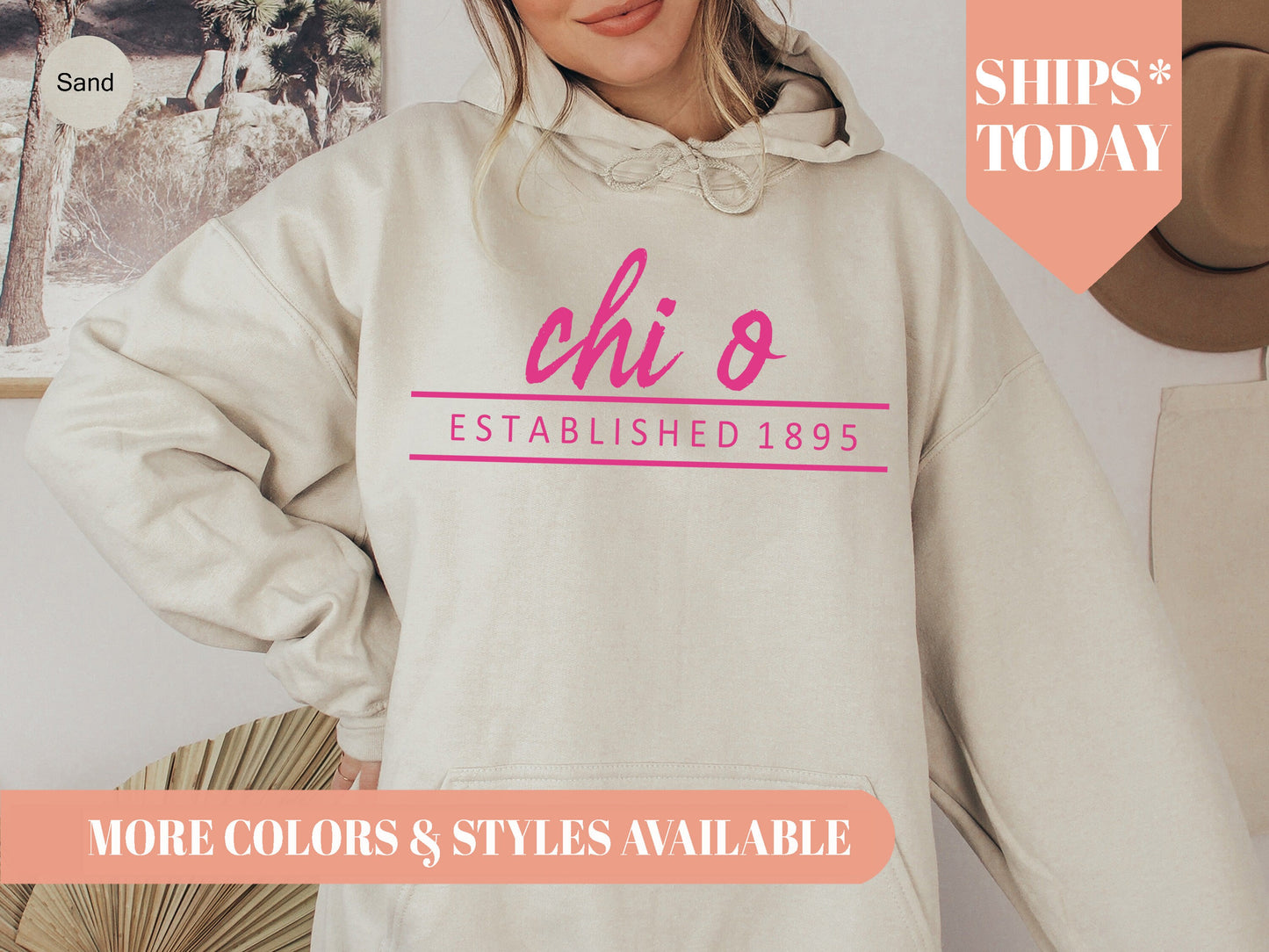 Chi Omega All Pink Sorority Hoodie _ 761g