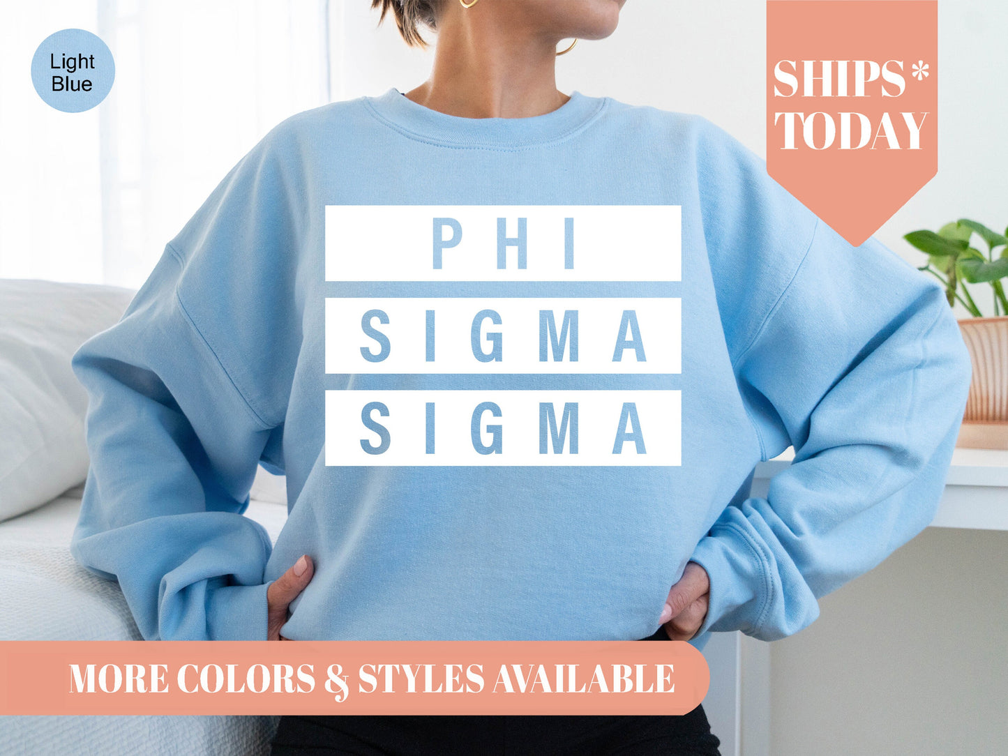 Phi Sigma Sigma Faded White Box Sorority Sweatshirt _ 3352g