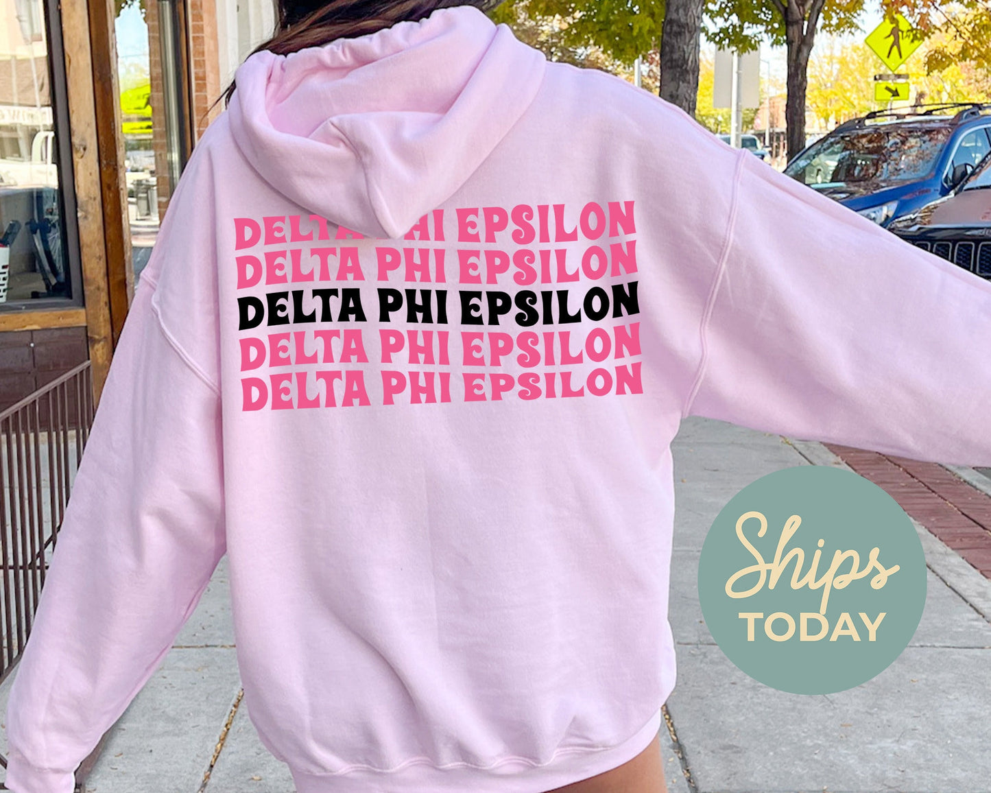 Delta Phi Epsilon Pink Waves Sorority Hoodie _ 33088g