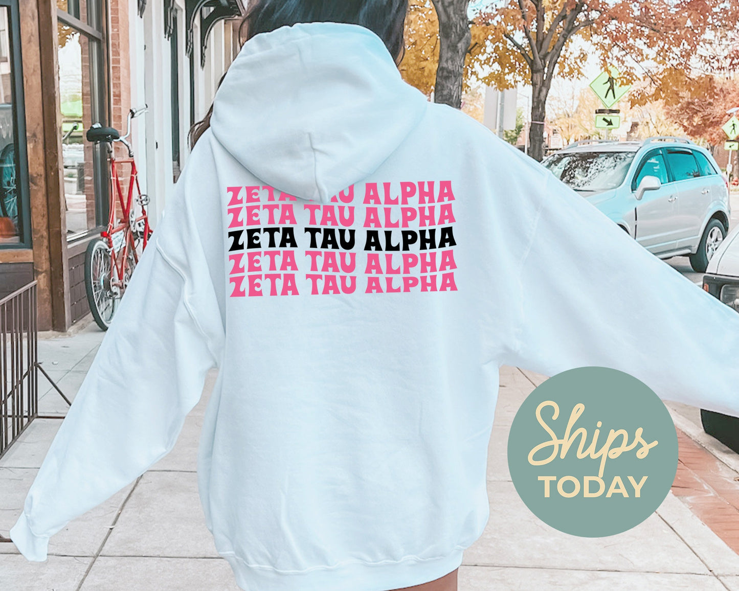 Zeta Tau Alpha Pink Waves Sorority Hoodie _ 33101g