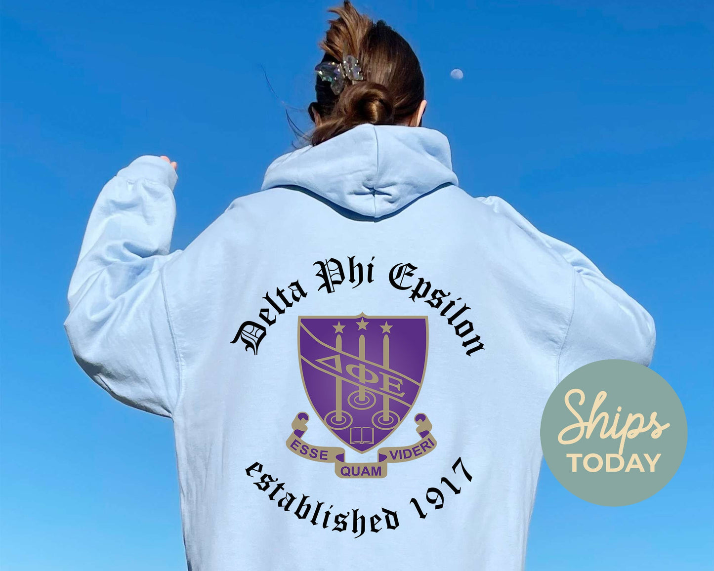 Delta Phi Epsilon Old English Crest Sorority Hoodie _ 32932g