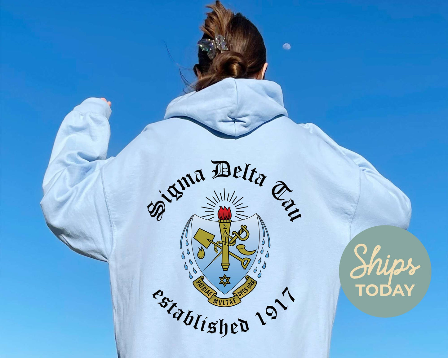 Sigma Delta Tau Old English Crest Sorority Hoodie _ 32941g