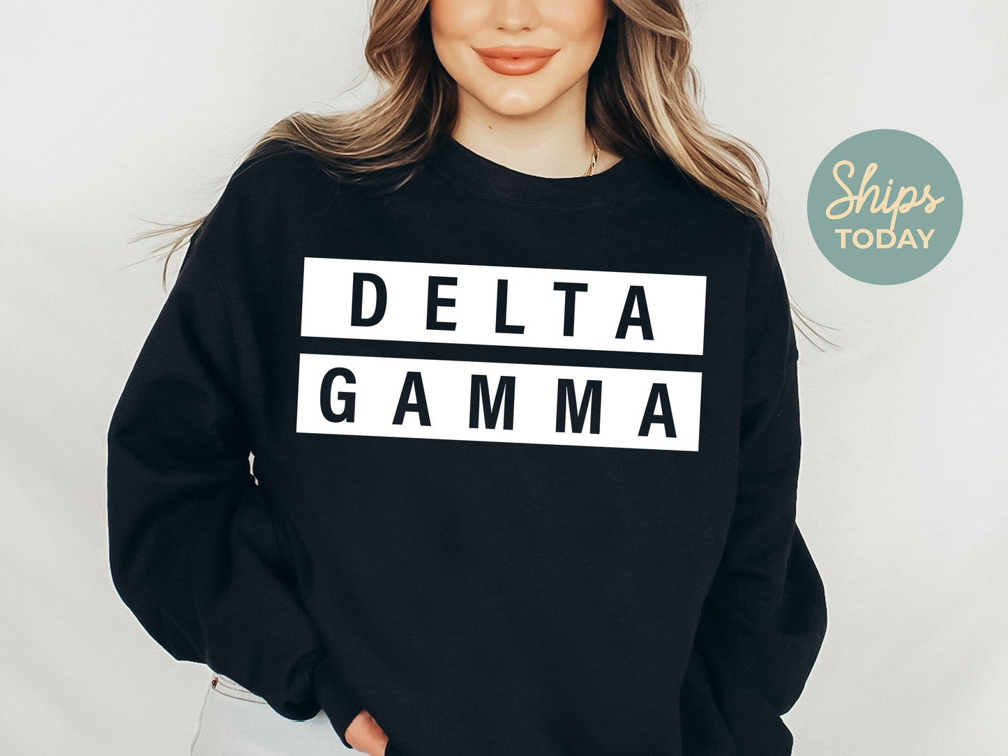 Delta Gamma Faded White Box Sorority Sweatshirt _ 3344g