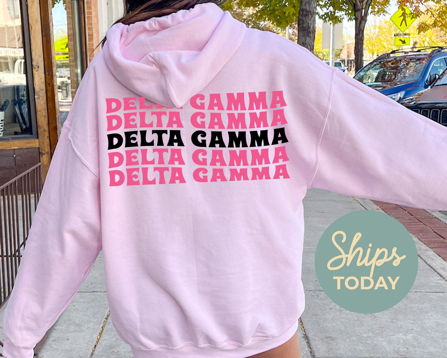 Delta Gamma Pink Waves Sorority Hoodie _ 33087g