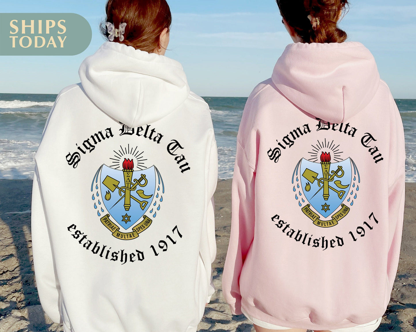 Sigma Delta Tau Old English Crest Sorority Hoodie _ 32941g
