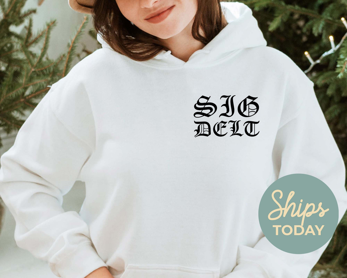 Sigma Delta Tau Old English Crest Sorority Hoodie _ 32941g