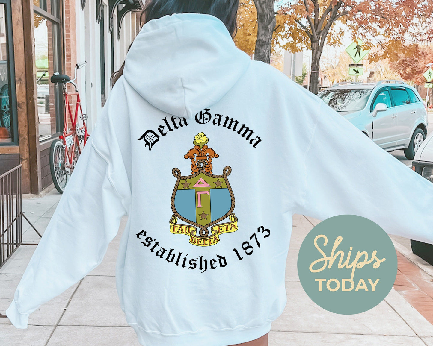 Delta Gamma Old English Crest Sorority Hoodie _ 32931g