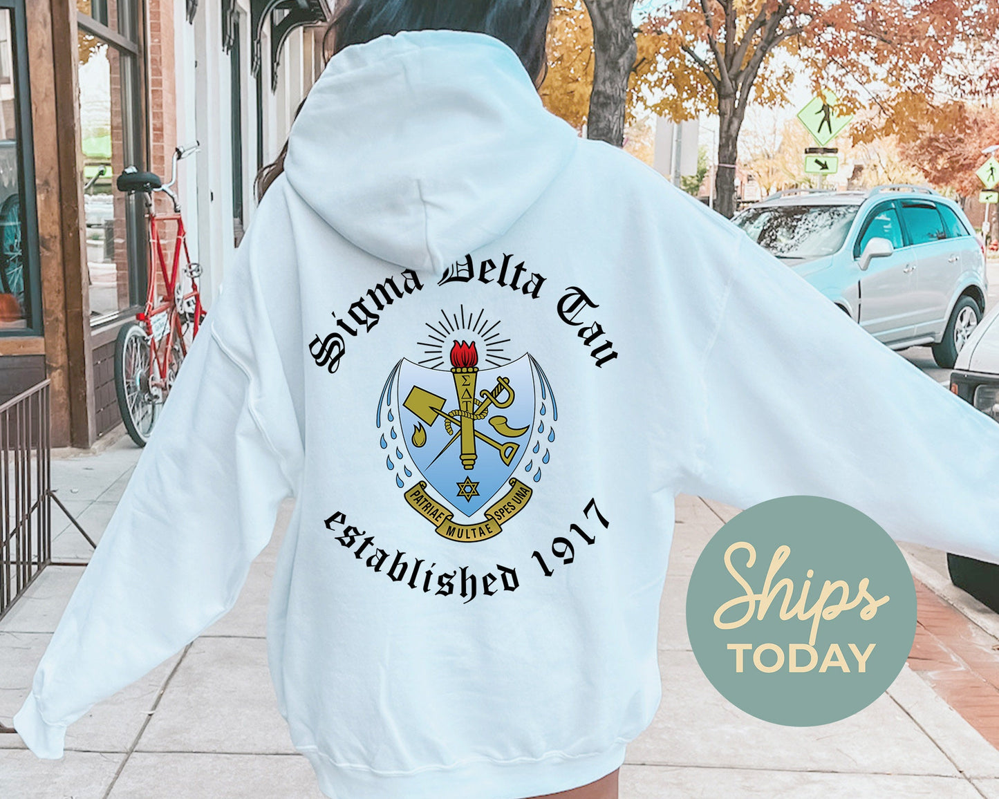 Sigma Delta Tau Old English Crest Sorority Hoodie _ 32941g